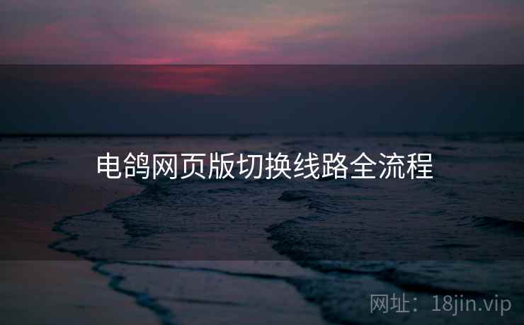 电鸽网页版切换线路全流程  第2张