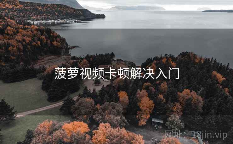 菠萝视频卡顿解决入门  第1张