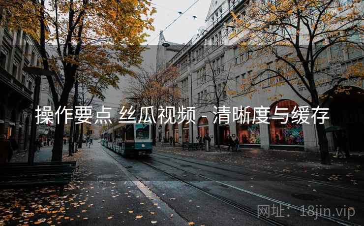 操作要点 丝瓜视频 - 清晰度与缓存  第1张