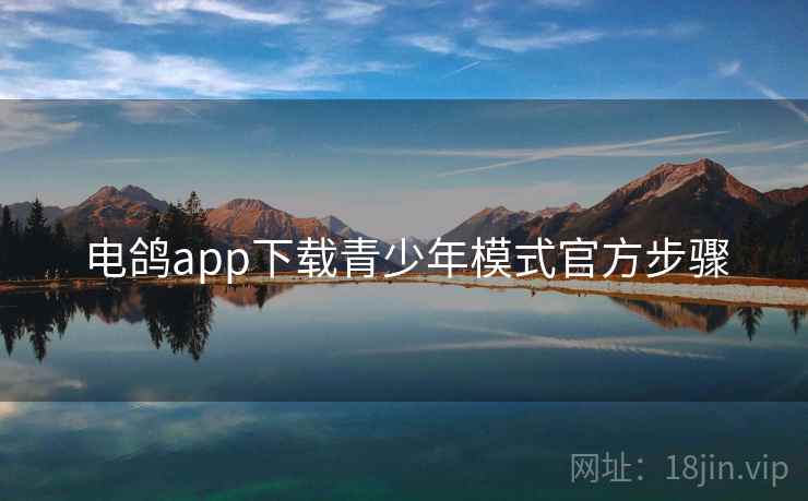 电鸽app下载青少年模式官方步骤  第2张