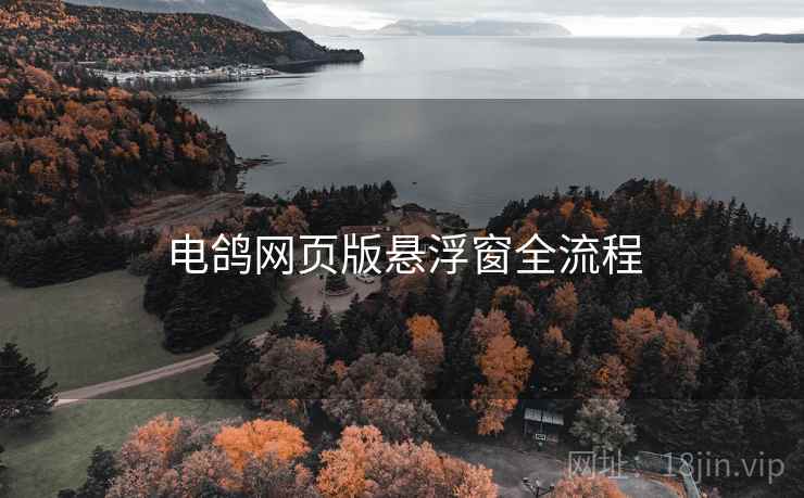 电鸽网页版悬浮窗全流程 第1张 电鸽网页版悬浮窗全流程 第1张