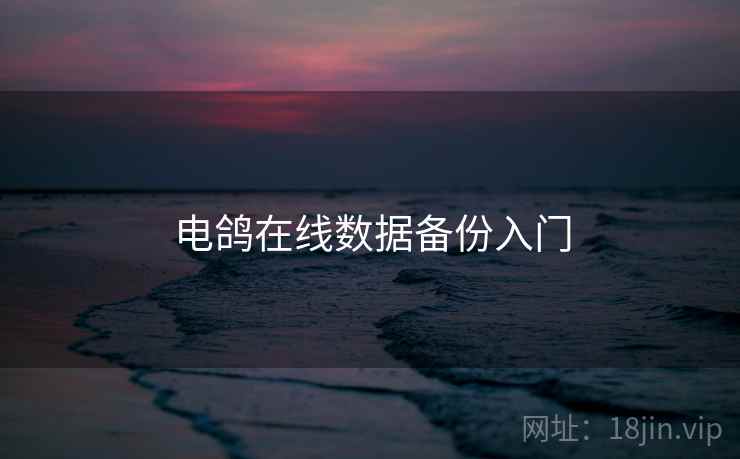 电鸽在线数据备份入门 第2张 电鸽在线数据备份入门 第2张