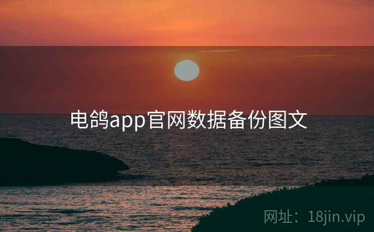 电鸽app官网数据备份图文 第1张 电鸽app官网数据备份图文 第1张