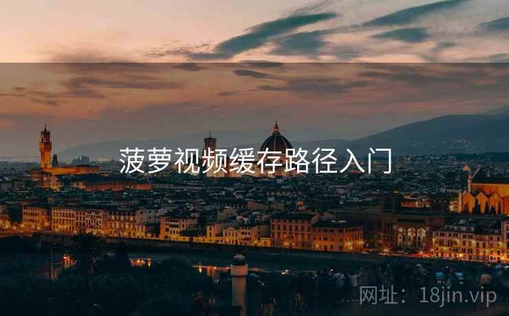 菠萝视频缓存路径入门 第1张 菠萝视频缓存路径入门 第1张