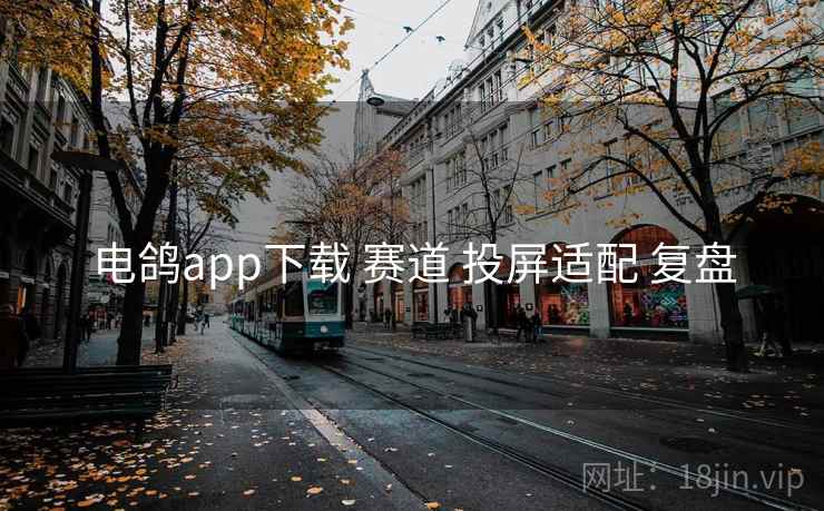 电鸽app下载 赛道 投屏适配 复盘 第2张 电鸽app下载 赛道 投屏适配 复盘 第2张