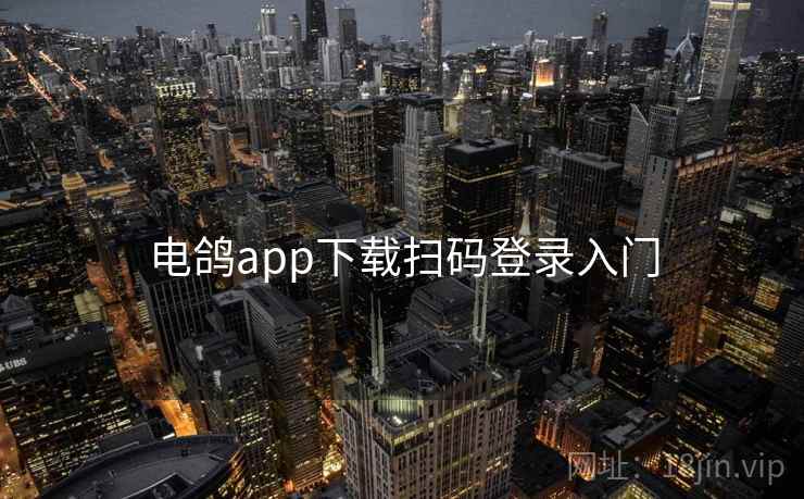 电鸽app下载扫码登录入门 第1张 电鸽app下载扫码登录入门 第1张